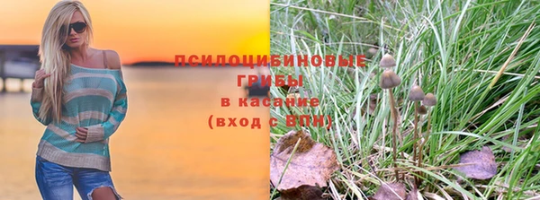 Альфа ПВП Алзамай