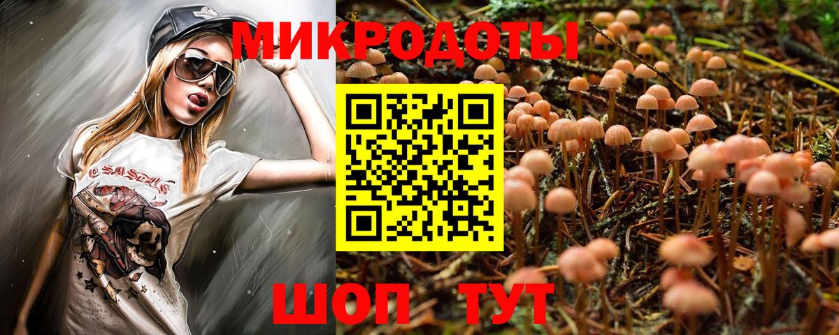 Галлюциногенные грибы Psilocybine cubensis Южно-Сахалинск