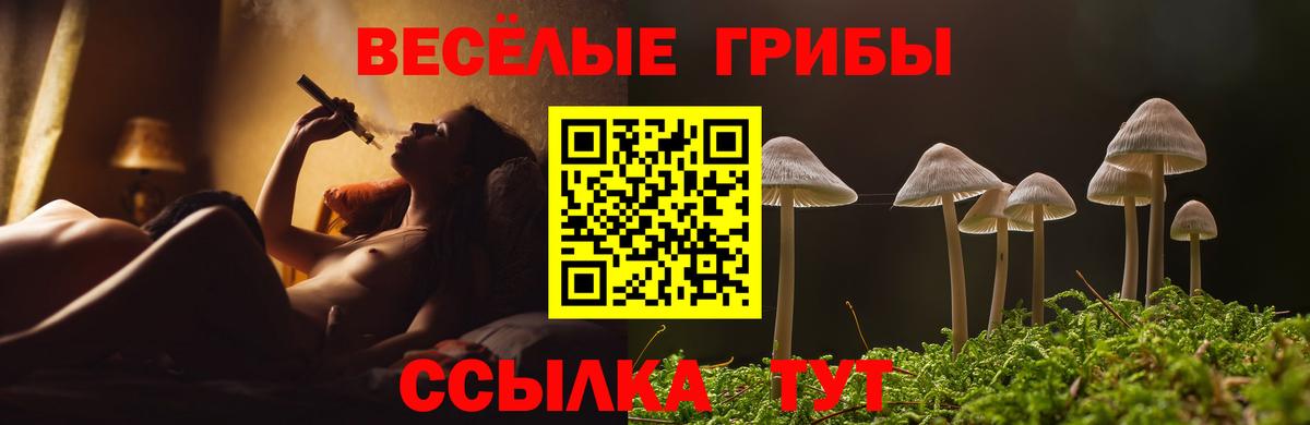 Галлюциногенные грибы MAGIC MUSHROOMS  Вход с VPN  Южно-Сахалинск 